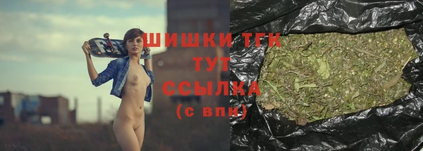 индика Верхнеуральск