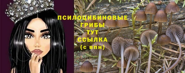 дурь Верея