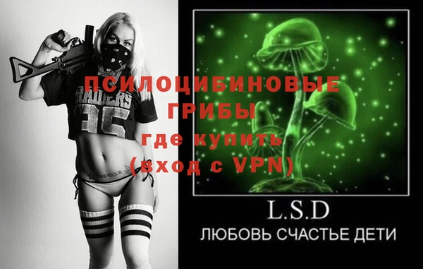 дурь Верея